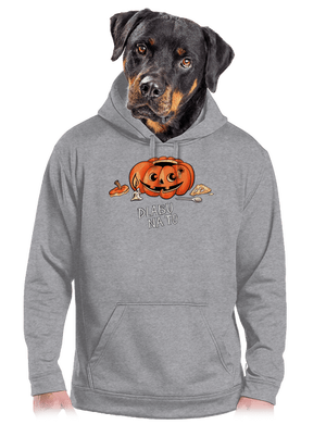 Dlabu na to pánská mikina klokanka Light Melange