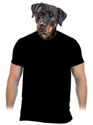 Tvoje hlava pánské tričko Black