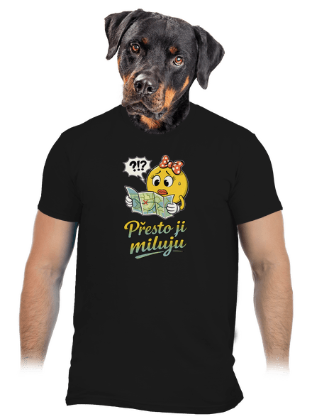Přesto se milujeme pánské tričko Black