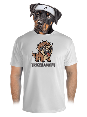 pánské sportovní tričko