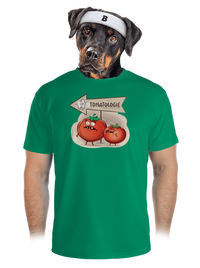 pánské sportovní tričko