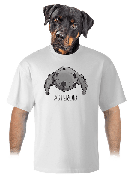 Asteroid unisex tričko oversized White