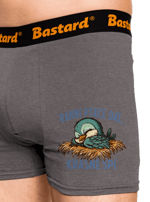 Ranní ptáče spí boxerky Gray Melange