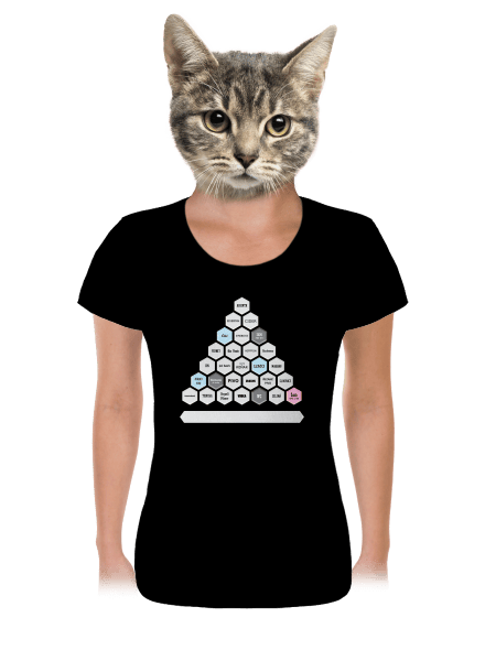 Textový alko kvíz a fix dámské tričko Black