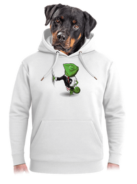 unisex mikina premium