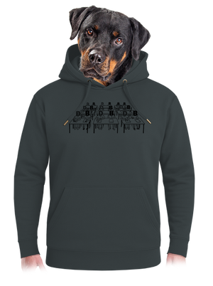 Cimrman: Debil, blbeček unisex mikina premium Charcoal