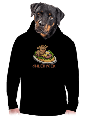 pánská mikina klokanka