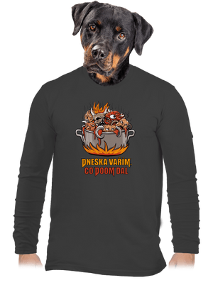 Co Doom dal pánské dlouhý rukáv Dark Grey