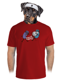 pánské sportovní tričko