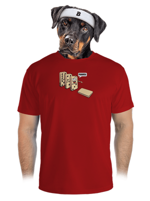 pánské sportovní tričko