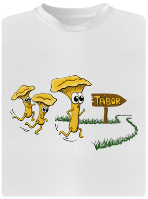 Běží lišky k Táboru pánské sportovní tričko White