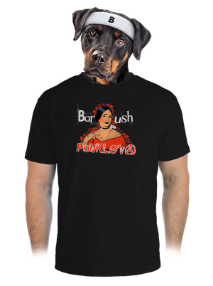 pánské sportovní tričko