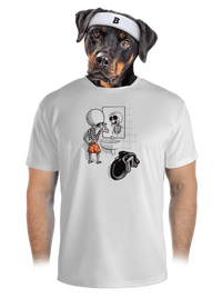 pánské sportovní tričko