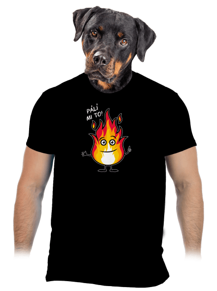 Pálí mi to pánské tričko Black