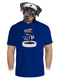 pánské sportovní tričko