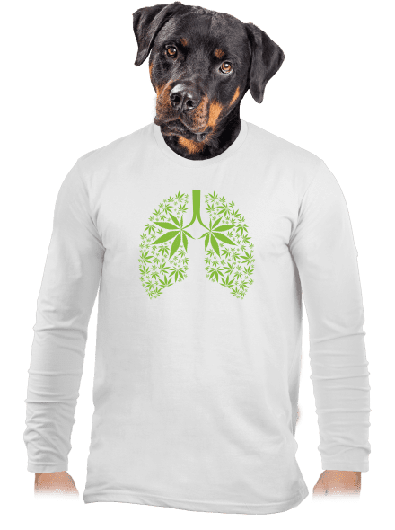 Ganja plíce pánské dlouhý rukáv White