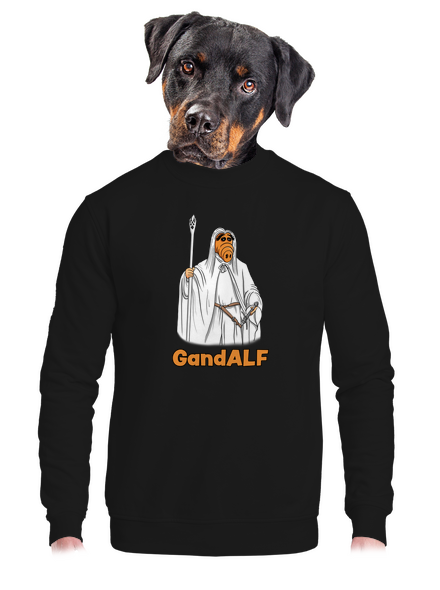 GandALF unisex mikina bez kapuce Black