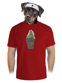 pánské sportovní tričko