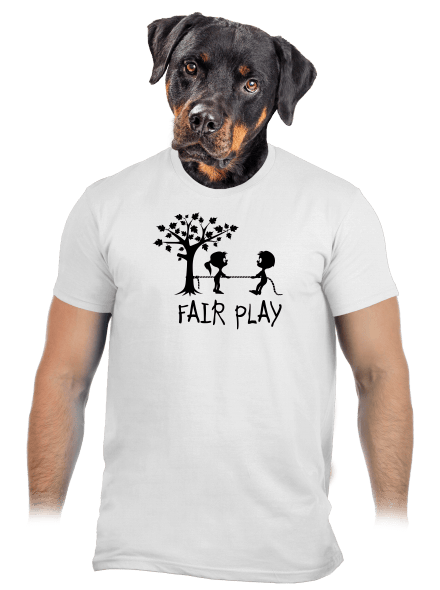 Fair play pánské tričko White