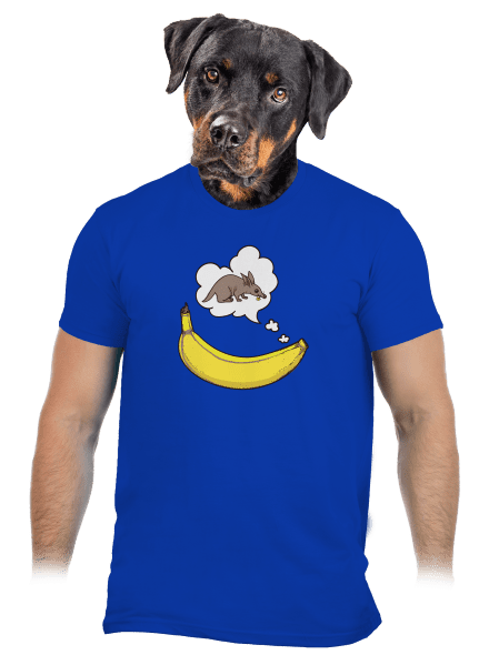 Samice hrabáče pánské tričko Royal Blue