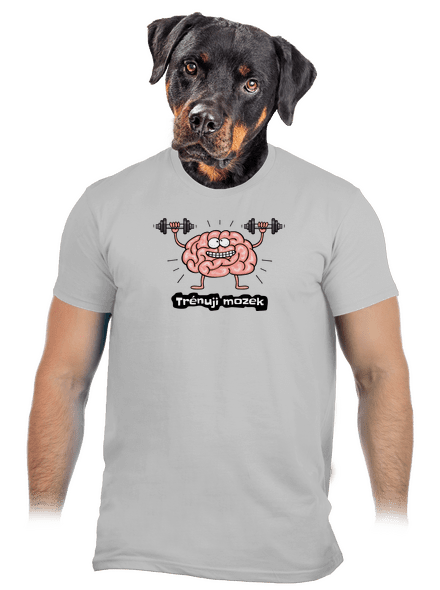 Trénuji mozek pánské tričko Pacific Grey