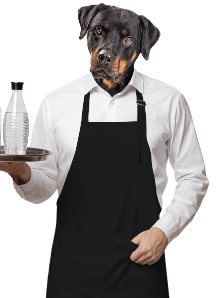 Bez potisku zástěra Black