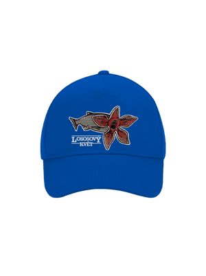 kšiltovka baseballka