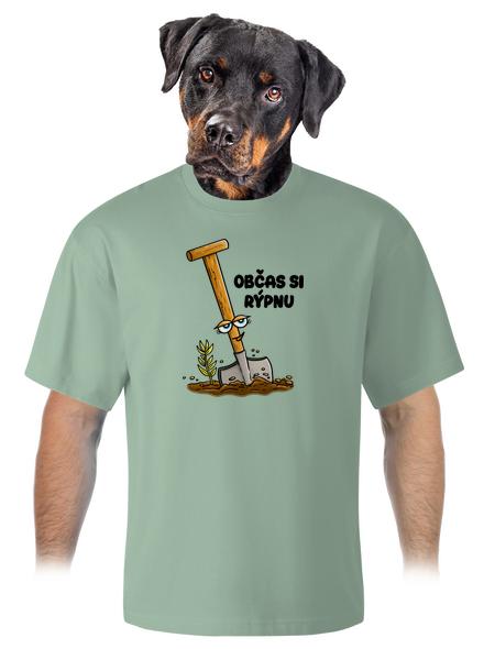 Občas si rýpnu unisex tričko oversized Sage