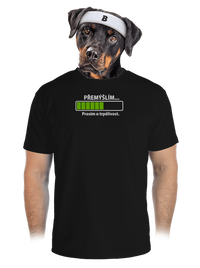 pánské sportovní tričko