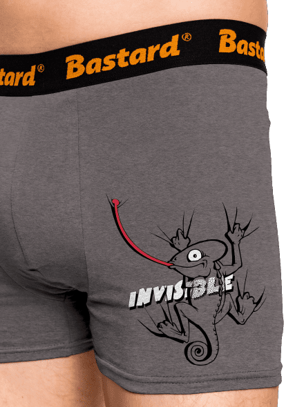 Invisible chameleon boxerky Gray Melange