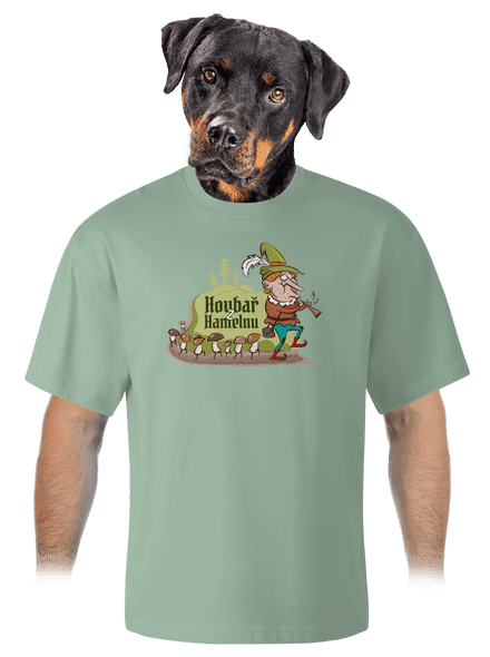 Houbař z Hamelnu unisex tričko oversized Sage
