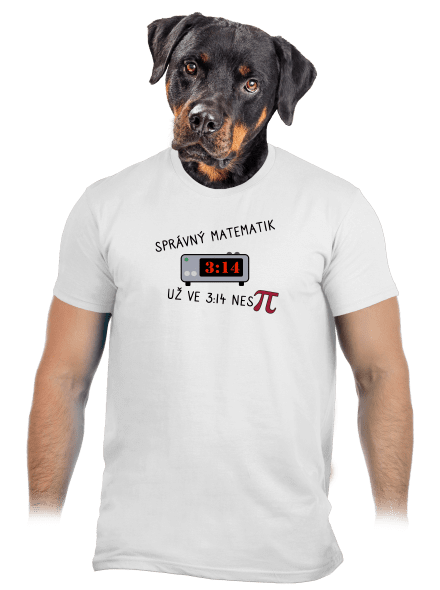 Matematik nespí pánské tričko White