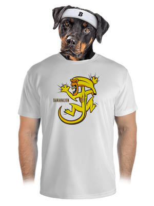 pánské sportovní tričko