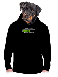 pánská mikina klokanka