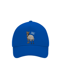 kšiltovka baseballka