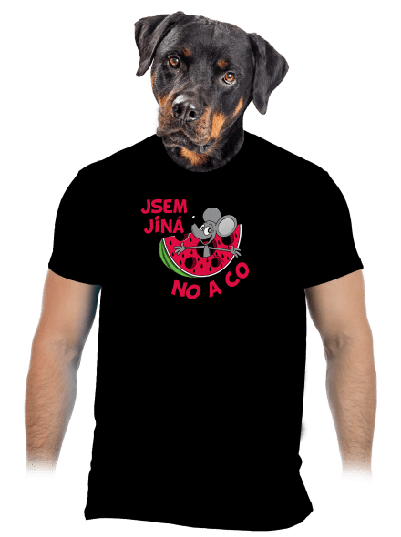 Jsem jiná pánské tričko Black