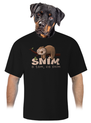 Sním o tom, co sním unisex tričko oversized Black