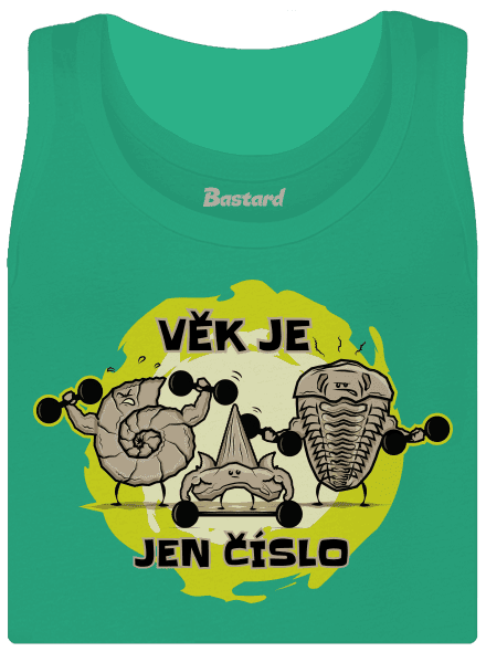 Věk je jen číslo dámské tílko klasické Mint Mal