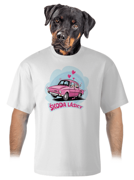 Škoda lásky unisex tričko oversized White