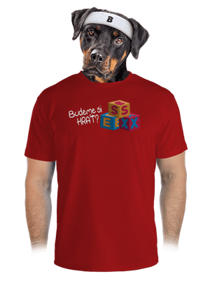 pánské sportovní tričko