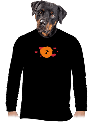 pánské dlouhý rukáv