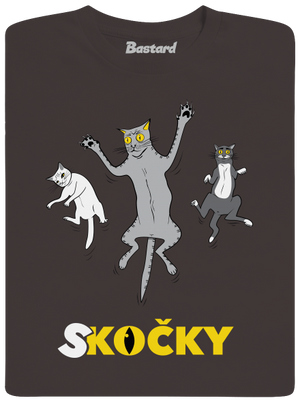 Skočky pánské dlouhý rukáv Bear Brown