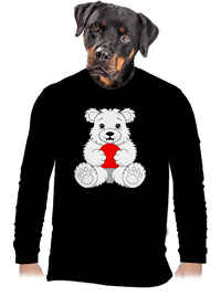 pánské dlouhý rukáv