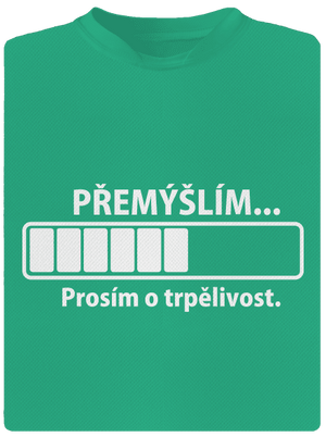 Přemýšlím pánské sportovní tričko Mint Mal
