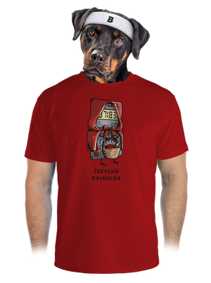 pánské sportovní tričko