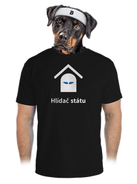 pánské sportovní tričko