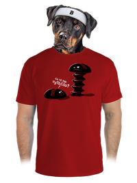 pánské sportovní tričko