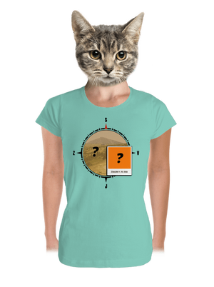 Zdoláno dámské tričko premium Mint Mal