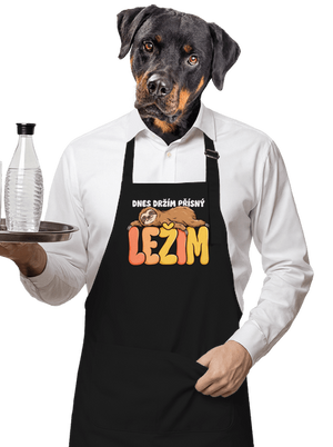 zástěra
