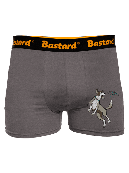 Létající talíř boxerky Gray Melange